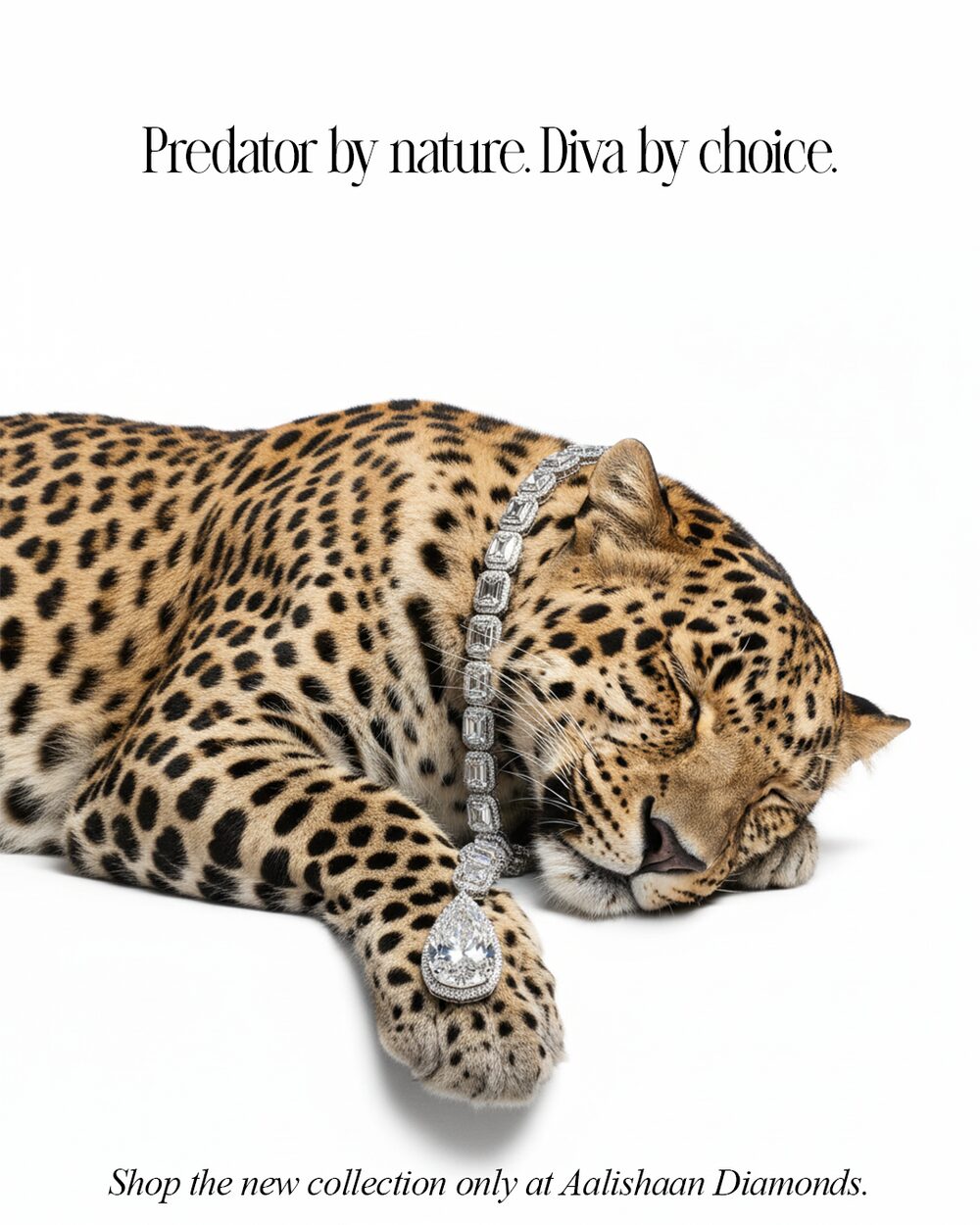 Aalishaan Diamonds jewelry campaign, ring on a leopard paw