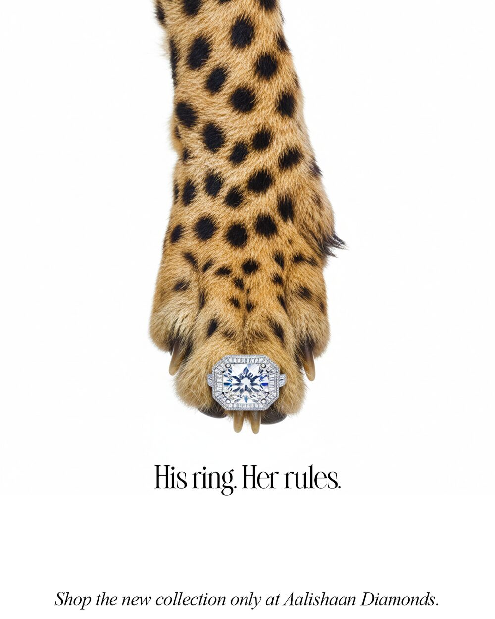 Aalishaan Diamonds jewelry campaign, diamond necklace on a resting leopard
